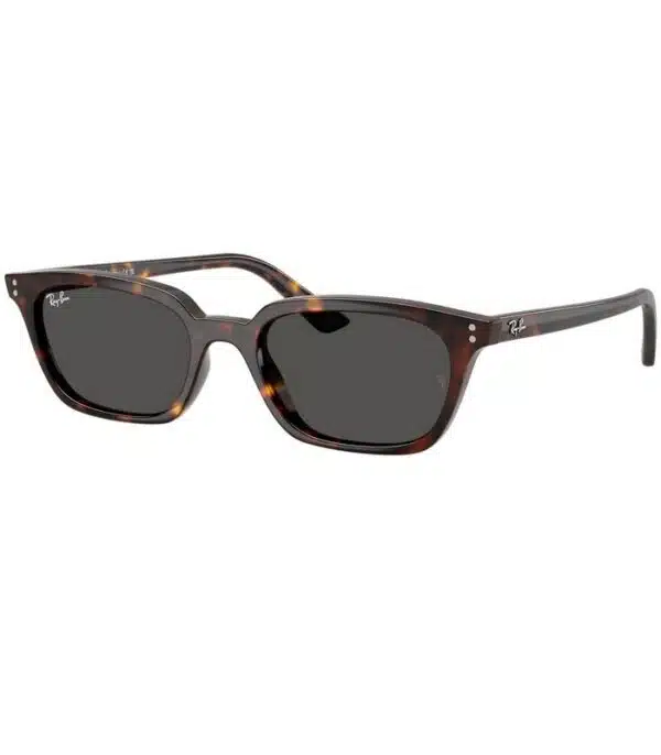 Lunette de Soleil Ray-Ban Zaya RB4456 1359/87